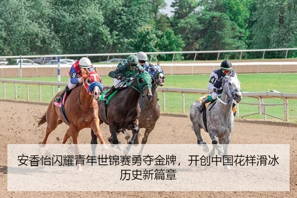 an-xiang-yi-shan-yao-qing-nian-shi-jin-sai-yong-duo-jin-pai-kai-chuang-zhong-guo-hua-yang-hua-bing-li-shi-xin-pian-zhang-2-368.jpg